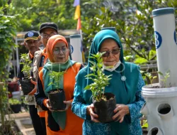 Cabai Jadi Andalan, Pemkab Mempawah Targetkan Produksi Terus Meningkat