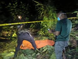 Mayat Perempuan Ditemukan di Kebun Sawit Mempawah