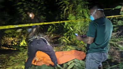 Mayat Perempuan Ditemukan di Kebun Sawit Mempawah